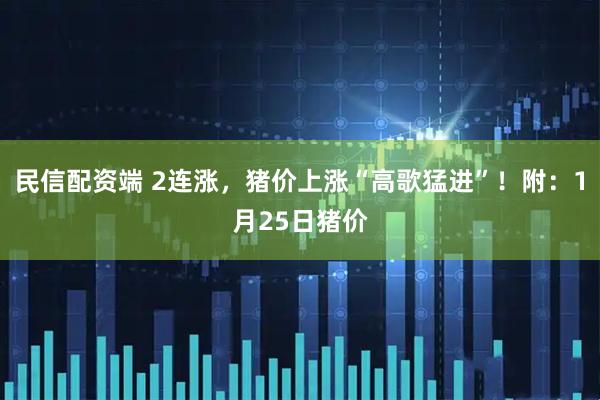 民信配资端 2连涨，猪价上涨“高歌猛进”！附：1月25日猪价