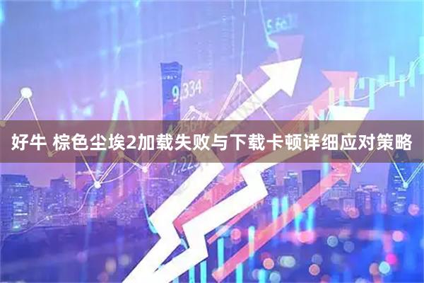 好牛 棕色尘埃2加载失败与下载卡顿详细应对策略