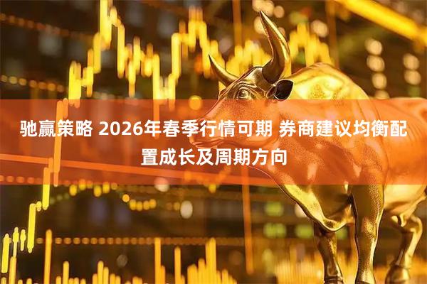 驰赢策略 2026年春季行情可期 券商建议均衡配置成长及周期方向