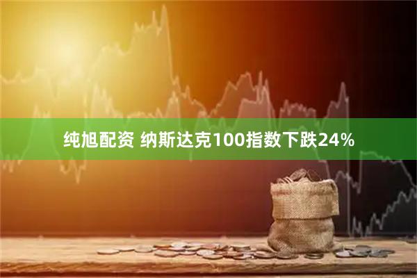纯旭配资 纳斯达克100指数下跌24%